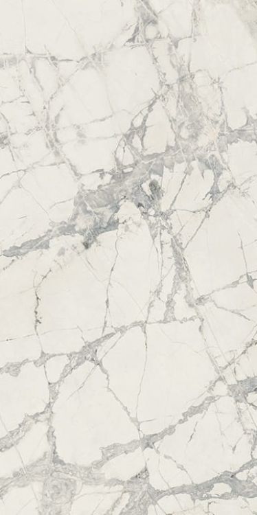 Prexious Mountain Treasure Matte 12 x 24